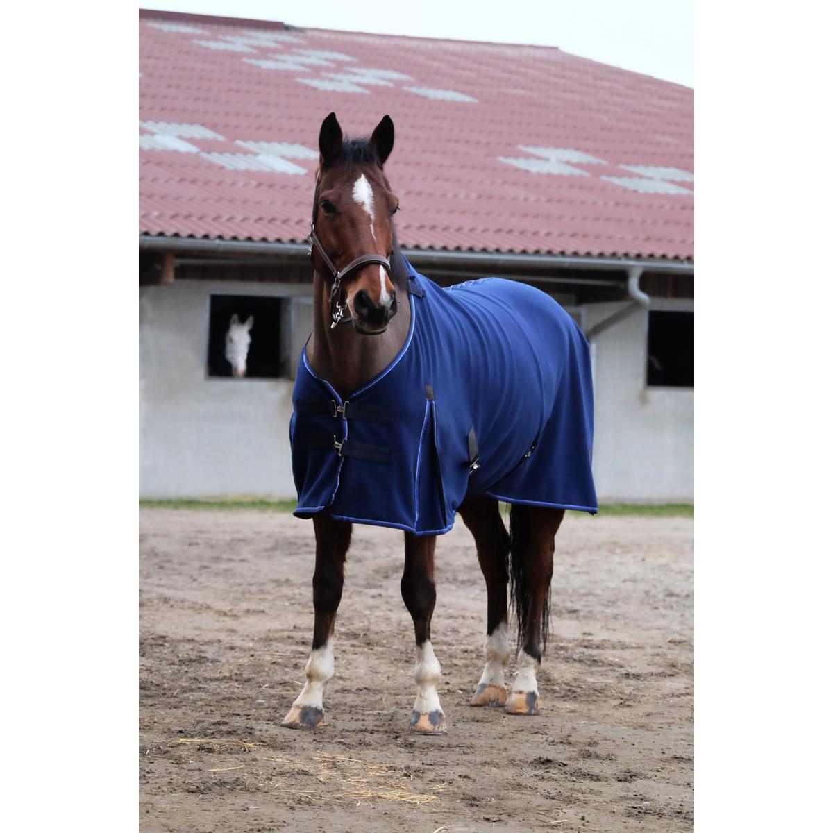 product/e/q/equitheme_400_546_063_ambi1.jpg