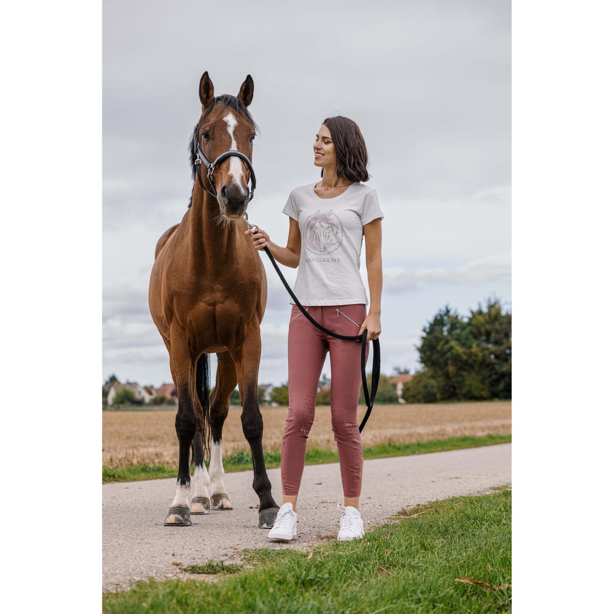 product/e/q/equitheme_963_207_012_ambi4.jpg