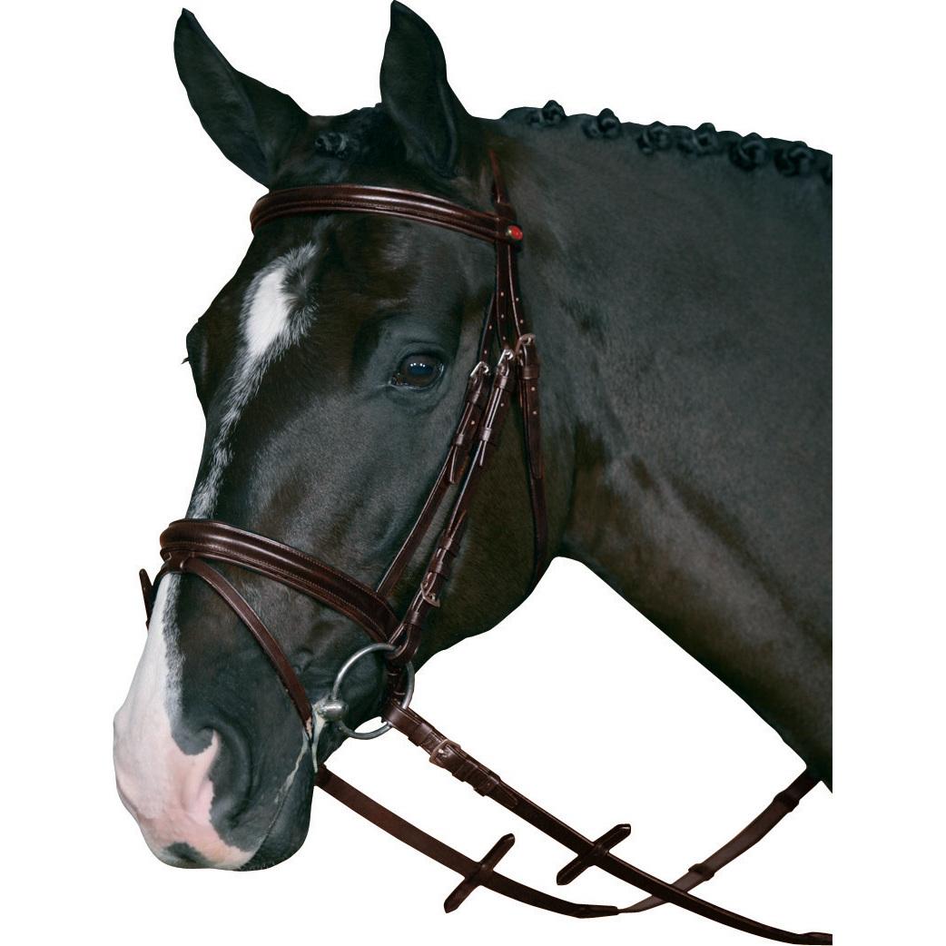 product/h/o/horseguard_31572_1.jpg