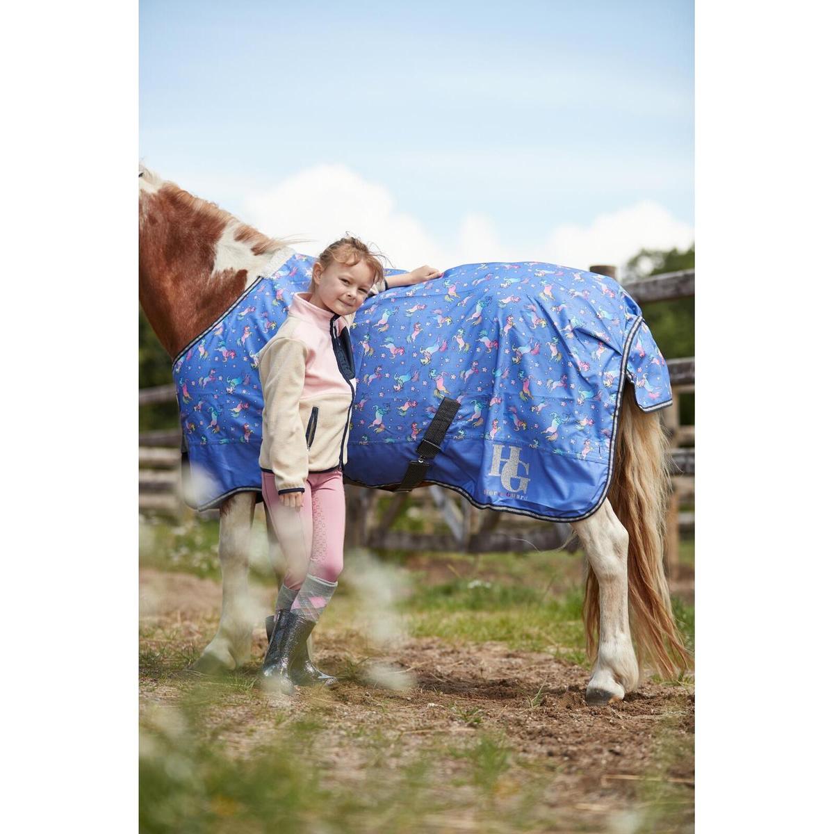 product/h/o/horseguard_505140510_lilla_3.jpg