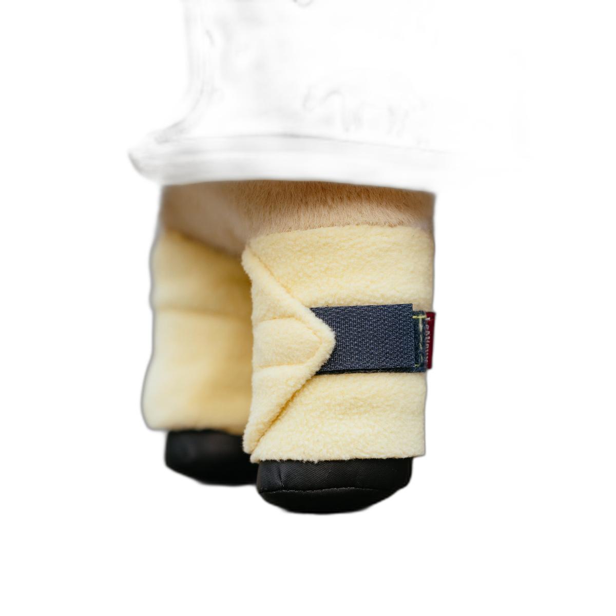 product/l/e/lemieux_it06526001_lemon-yellow_7.jpg