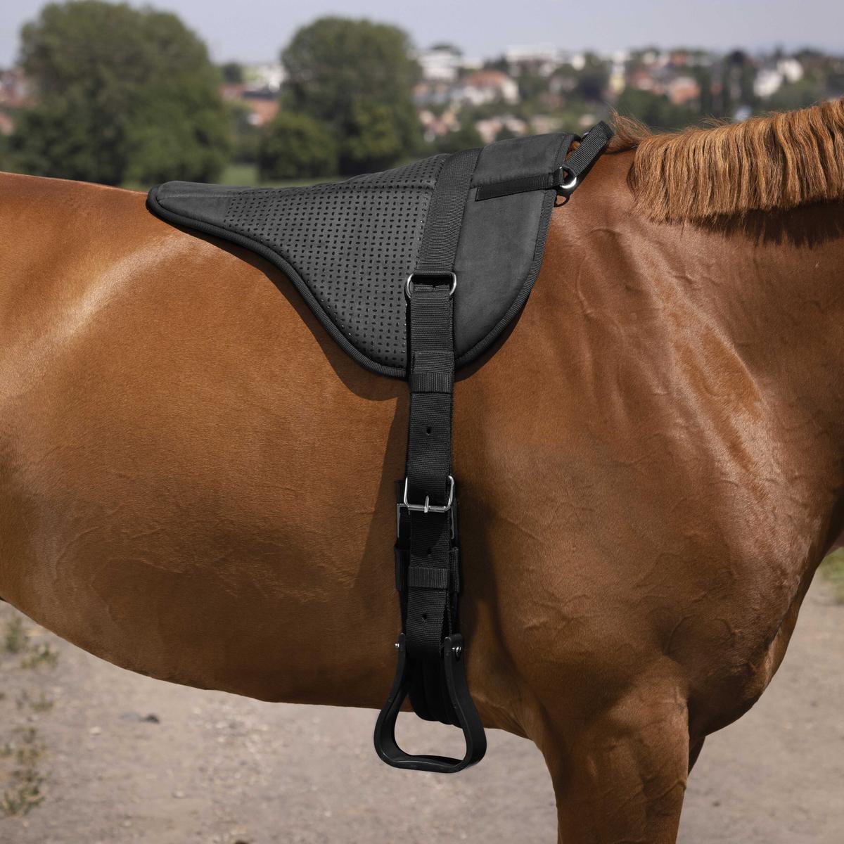 product/n/o/norton_101053302_noir_2.jpg