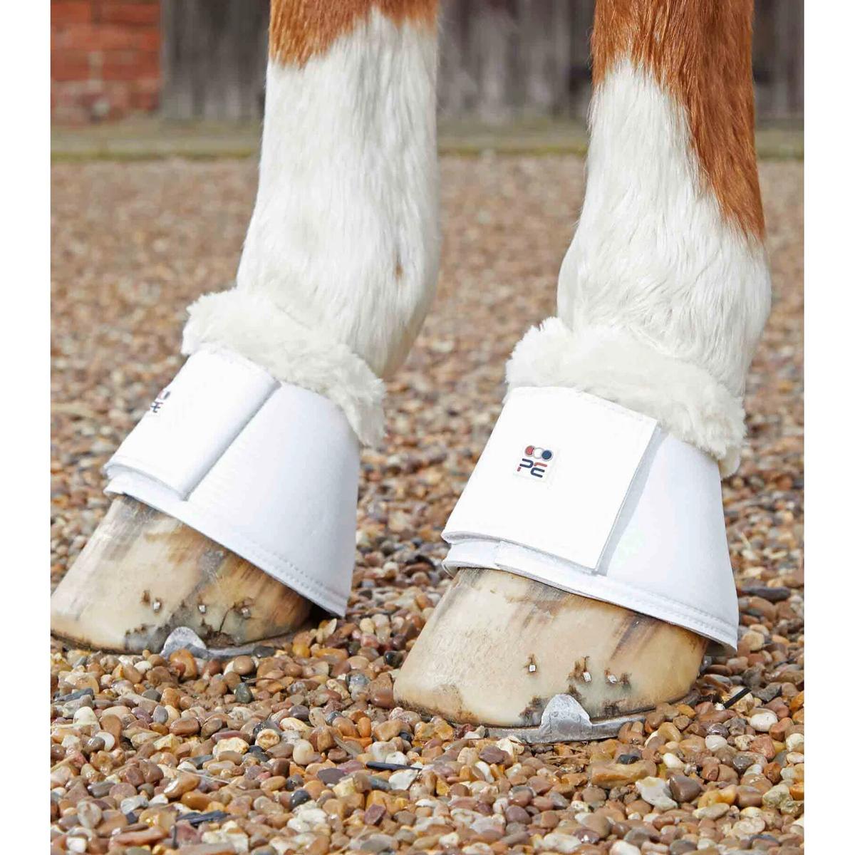 product/p/r/premier-equine_1019xxlw_1.jpg