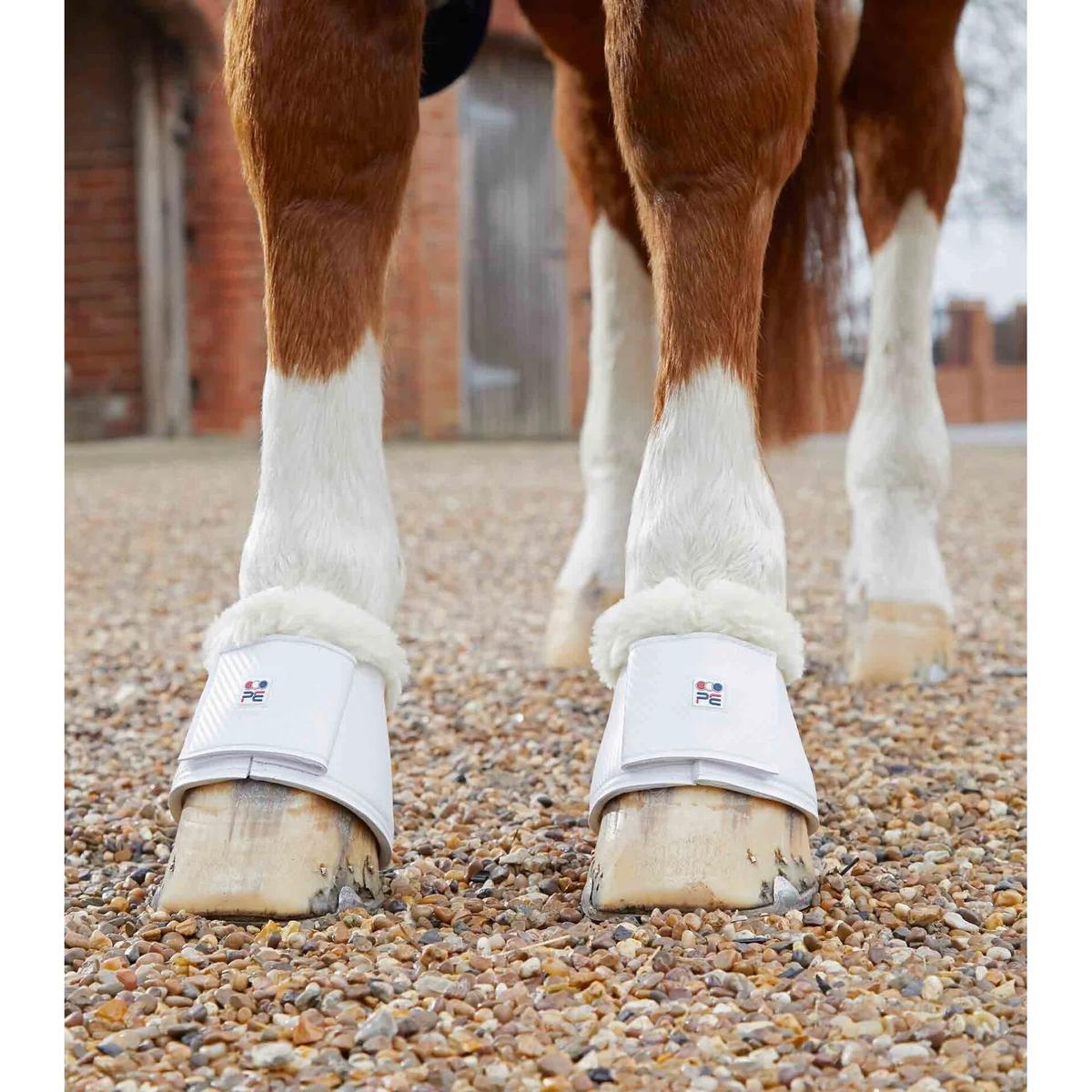 product/p/r/premier-equine_1019xxlw_2.jpg