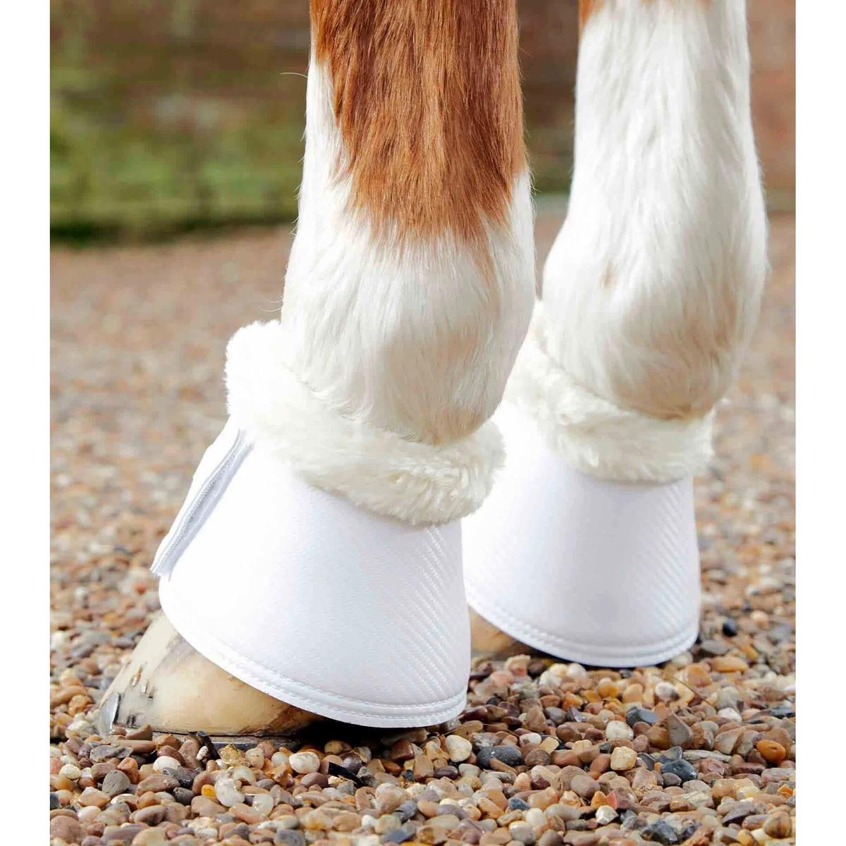 product/p/r/premier-equine_1019xxlw_4.jpg
