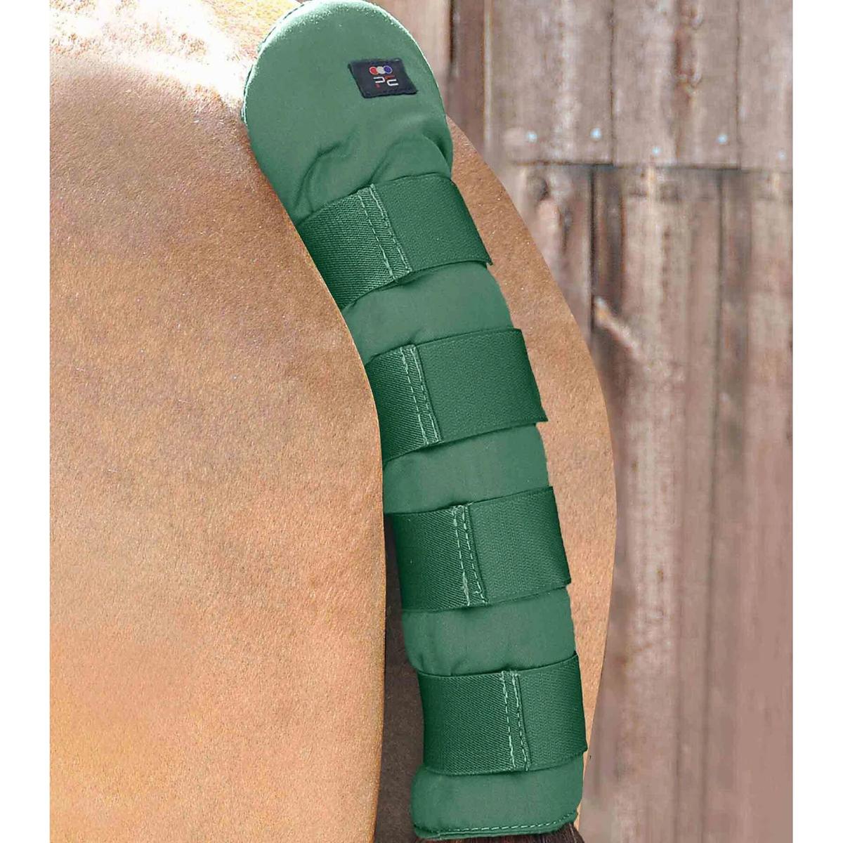product/p/r/premier-equine_6012g_1.jpg