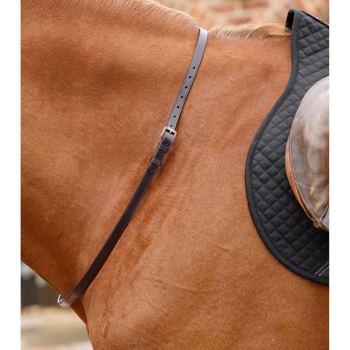 product/p/r/premier-equine_8032-brw_1.jpg