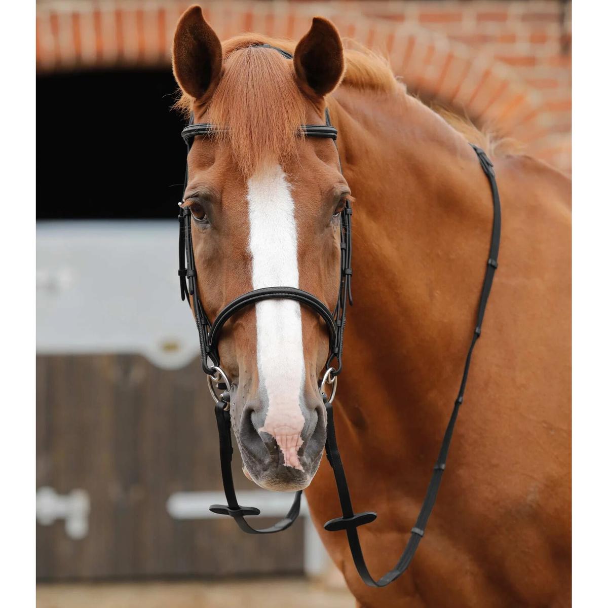 product/p/r/premier-equine_8046-blk_1.jpg