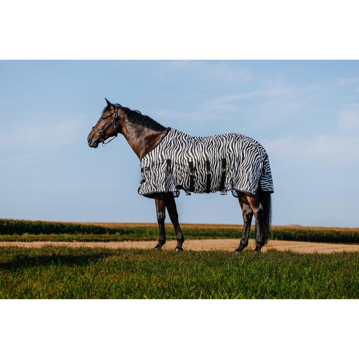 product/r/i/riding-world_400725056_zebre_1.jpg