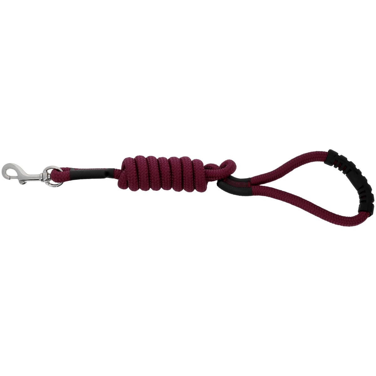 product/r/i/riding-world_409056033_bordeaux_1.jpg