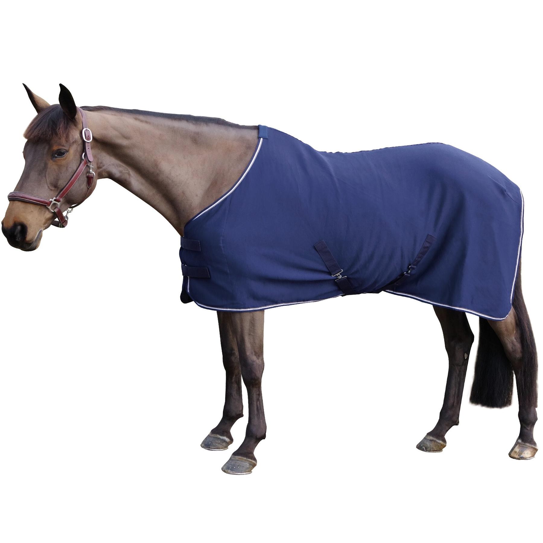 product/c/a/canter_232001-marine_mag4570853_1.jpg