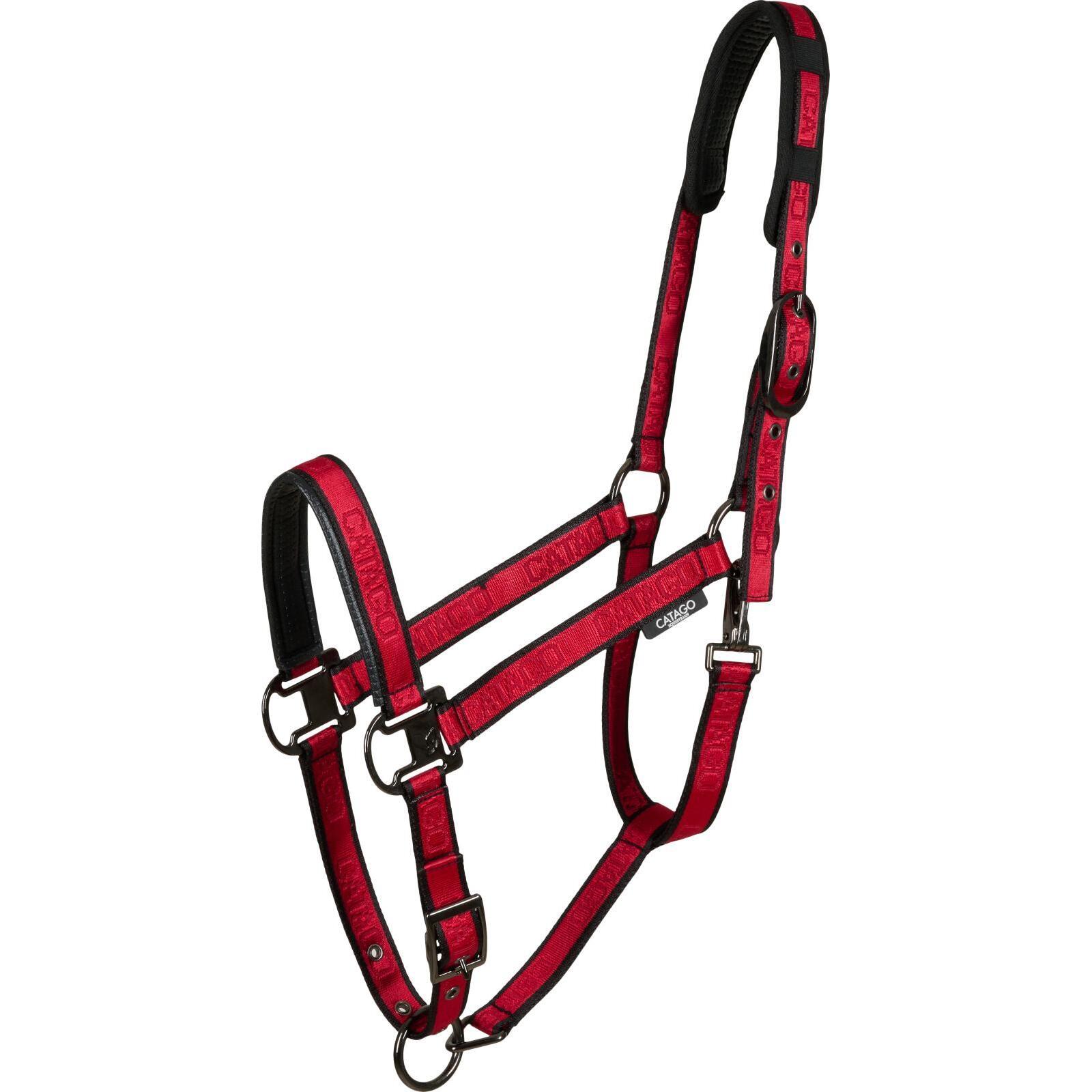 product/c/a/catago_41463035_jester-red_1.jpg