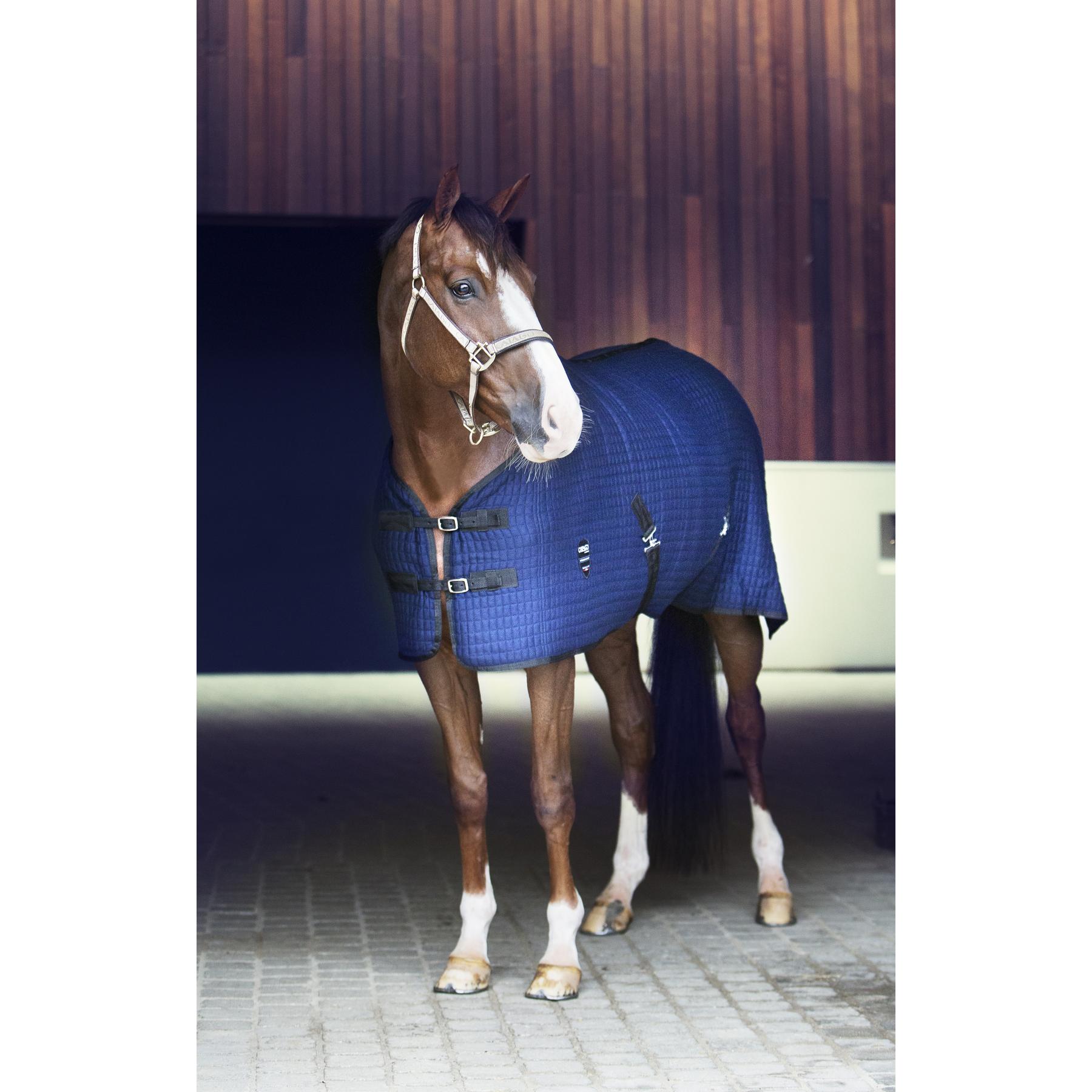 product/c/a/catago_49031514_2.jpg