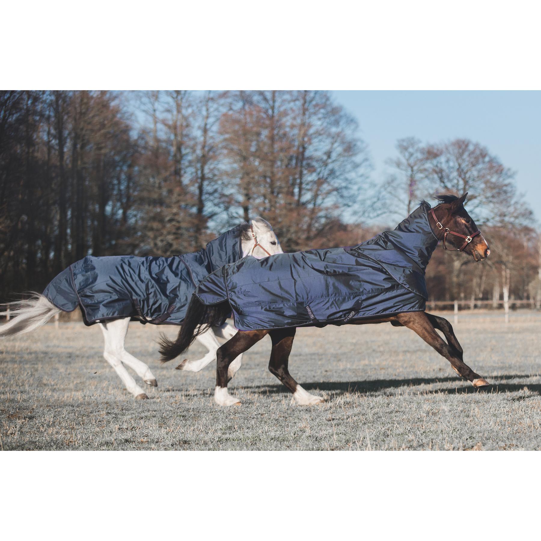 product/c/a/catago_85096599_2.jpg