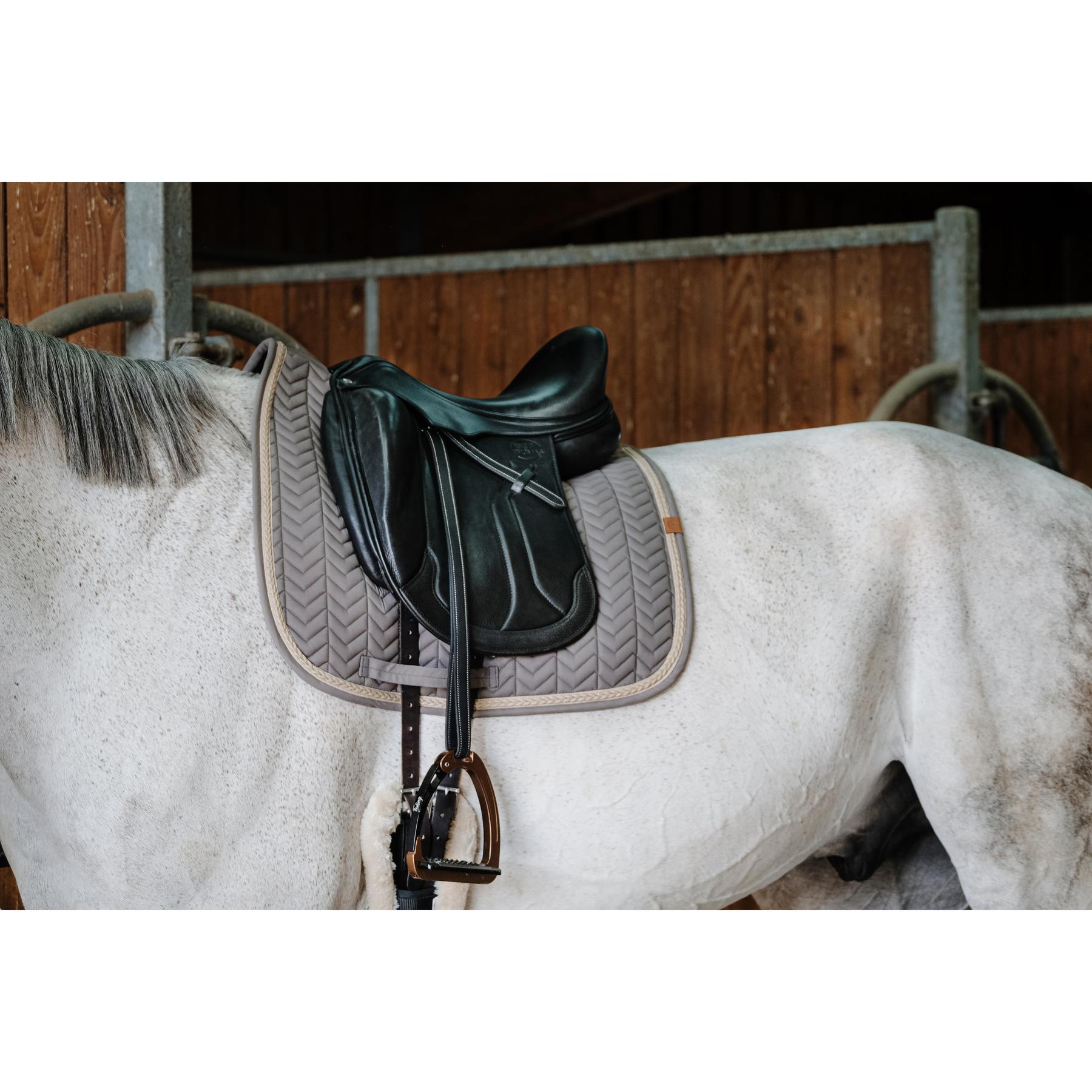 product/e/q/equitheme_204_766_011_ambi1.jpg