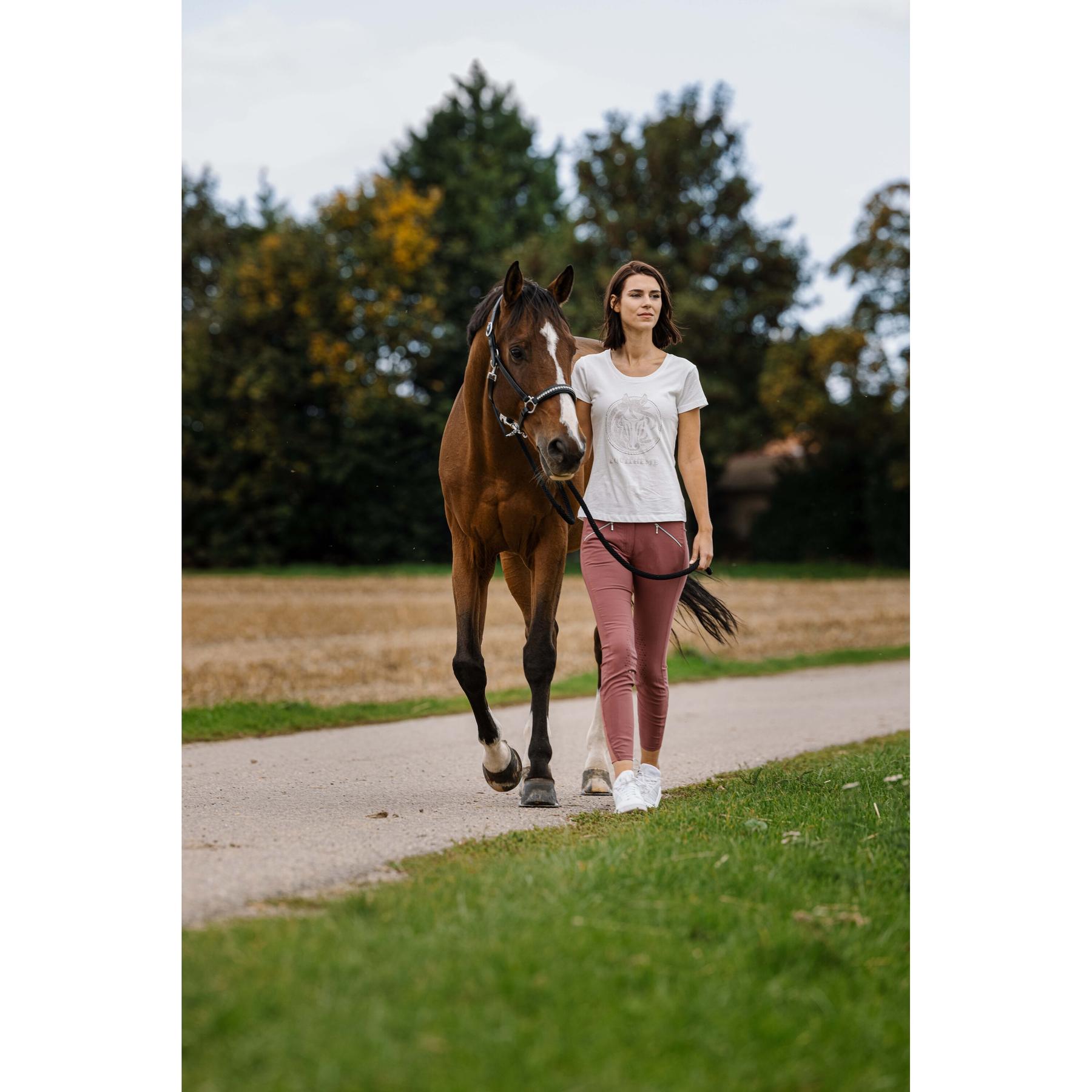product/e/q/equitheme_963_207_012_ambi3.jpg
