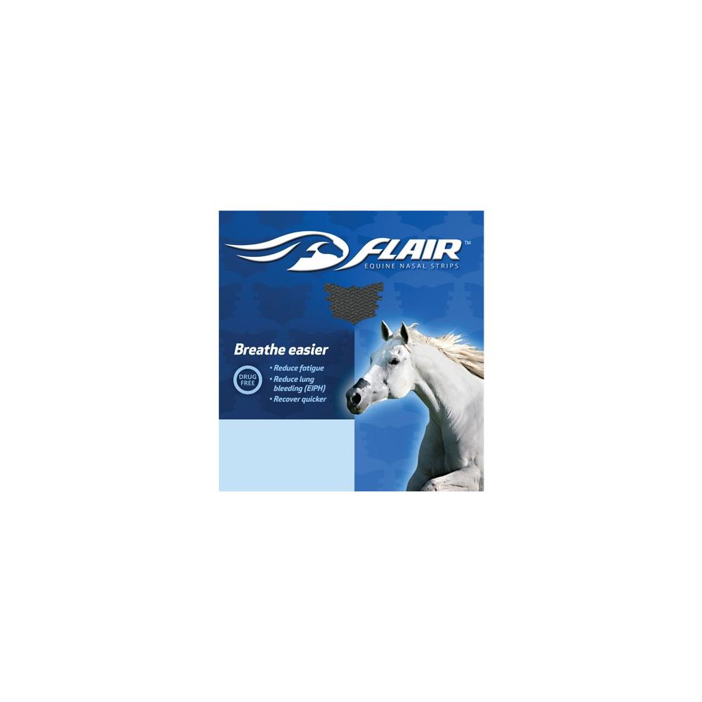 product/h/o/horse-master_969020102bl.jpg