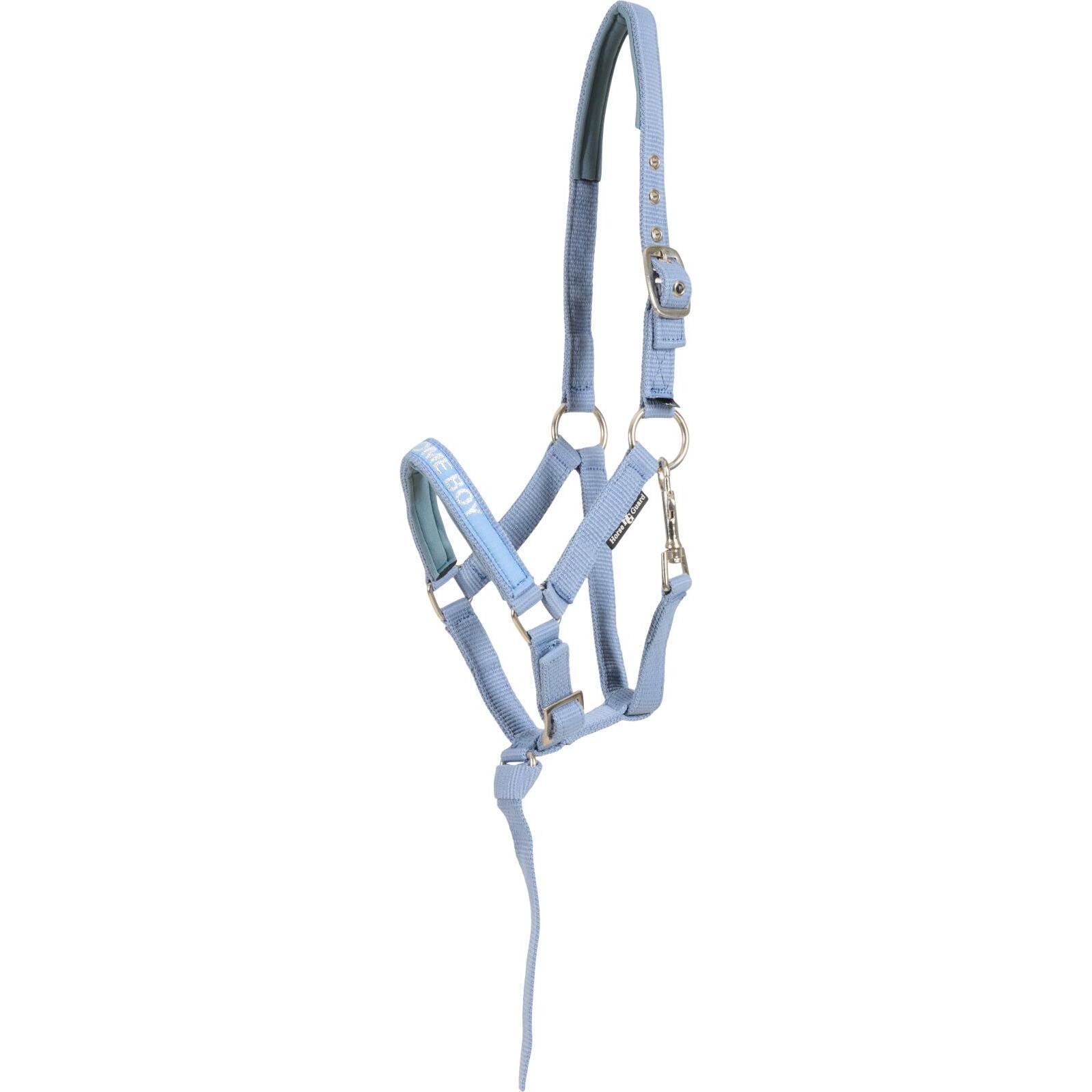 product/h/o/horseguard_50498050110_coronet-blue_1.jpg