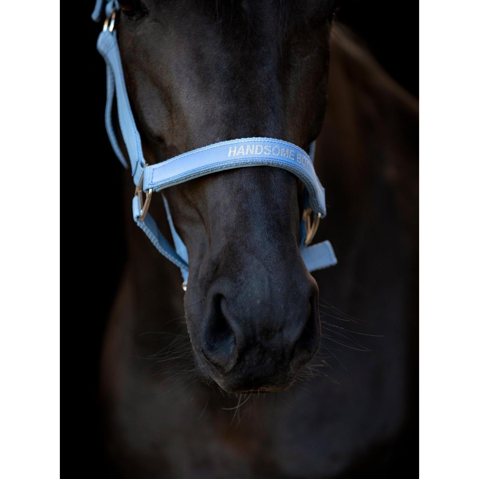 product/h/o/horseguard_50499020110_coronet-blue_3.jpg