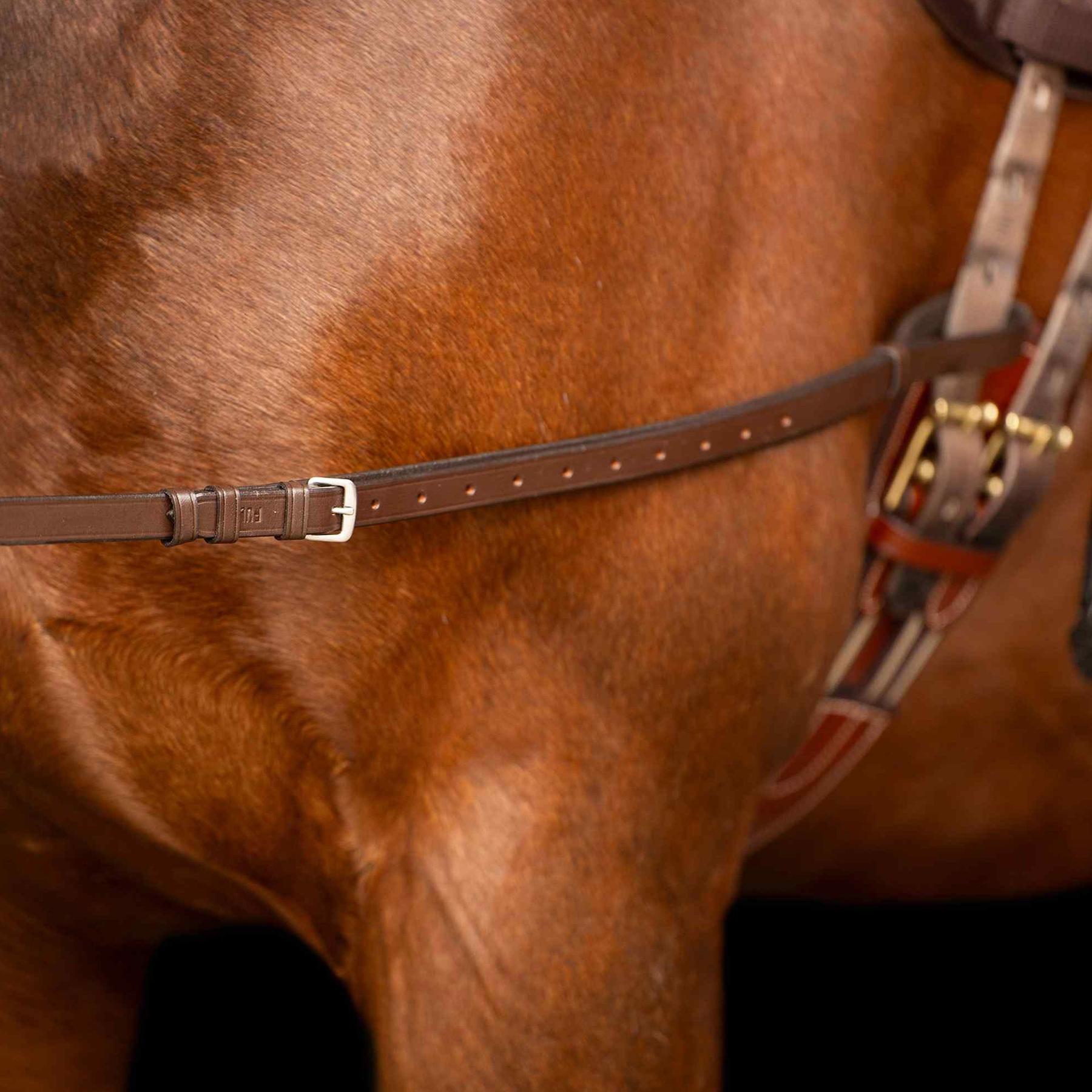 product/i/m/imperial-riding_te40123000-8000_brown_1.jpg