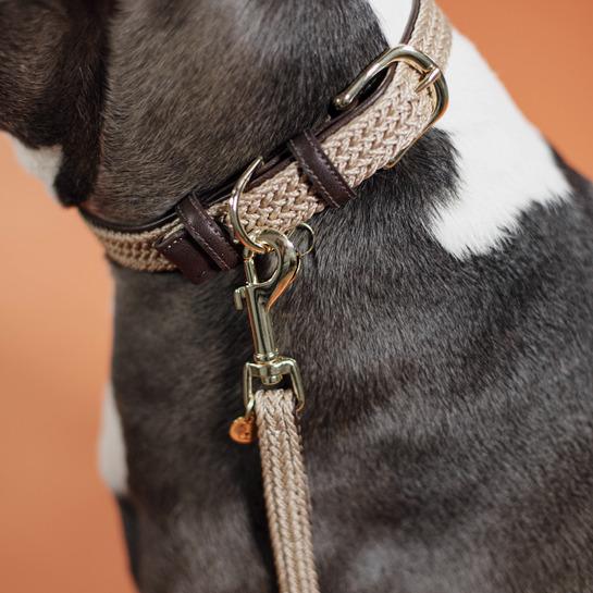 product/k/e/kentucky-dogwear_42519-32-2_beige_3.jpg