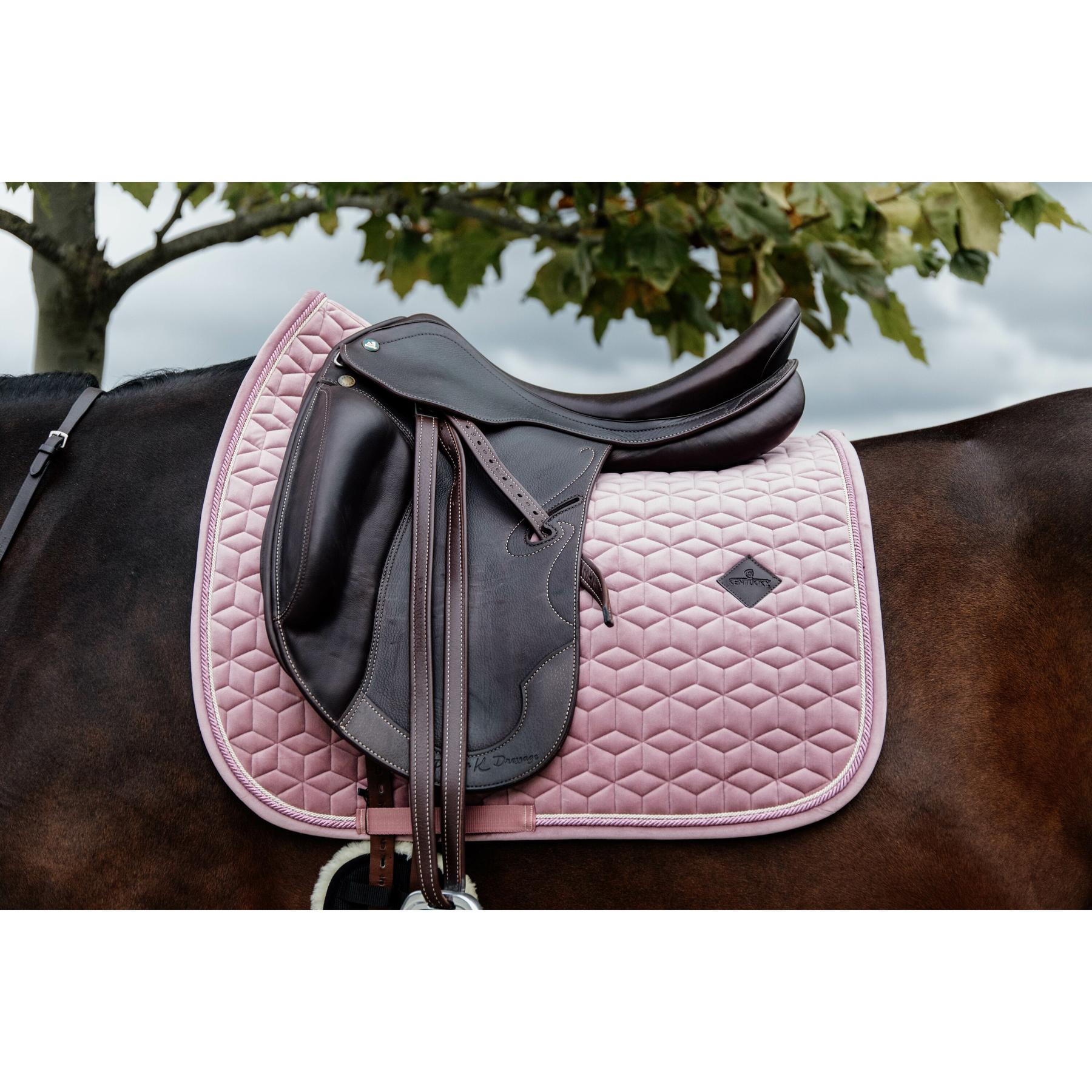 product/k/e/kentucky_42579-10_2.jpg