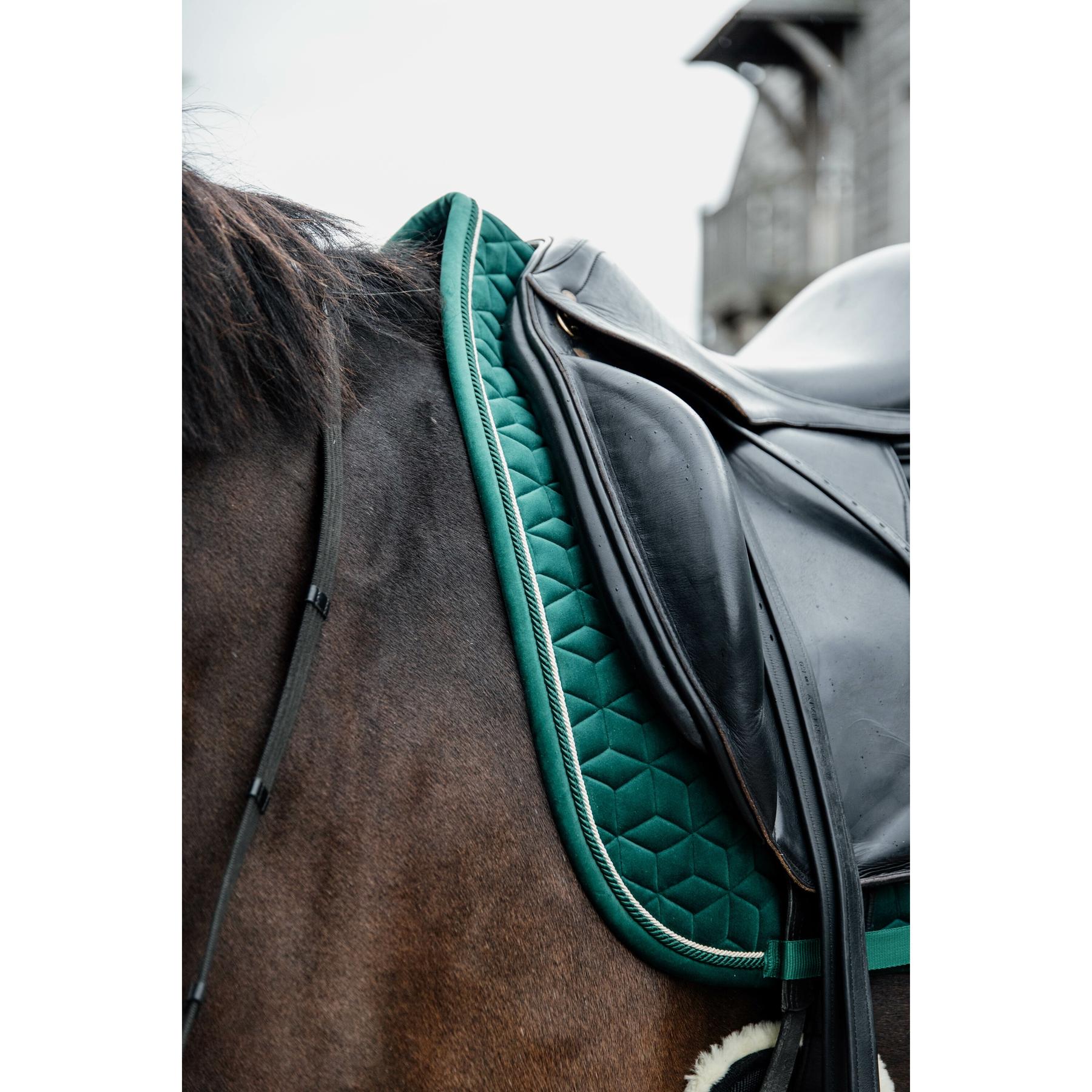 product/k/e/kentucky_42579-73_3.jpg