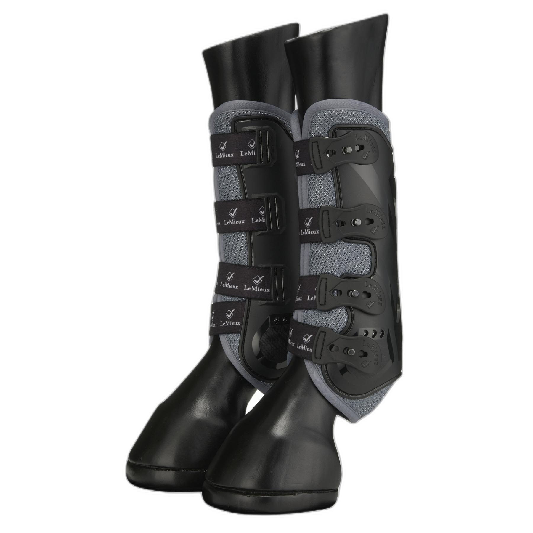 product/l/e/lemieux_it00670_2.jpg