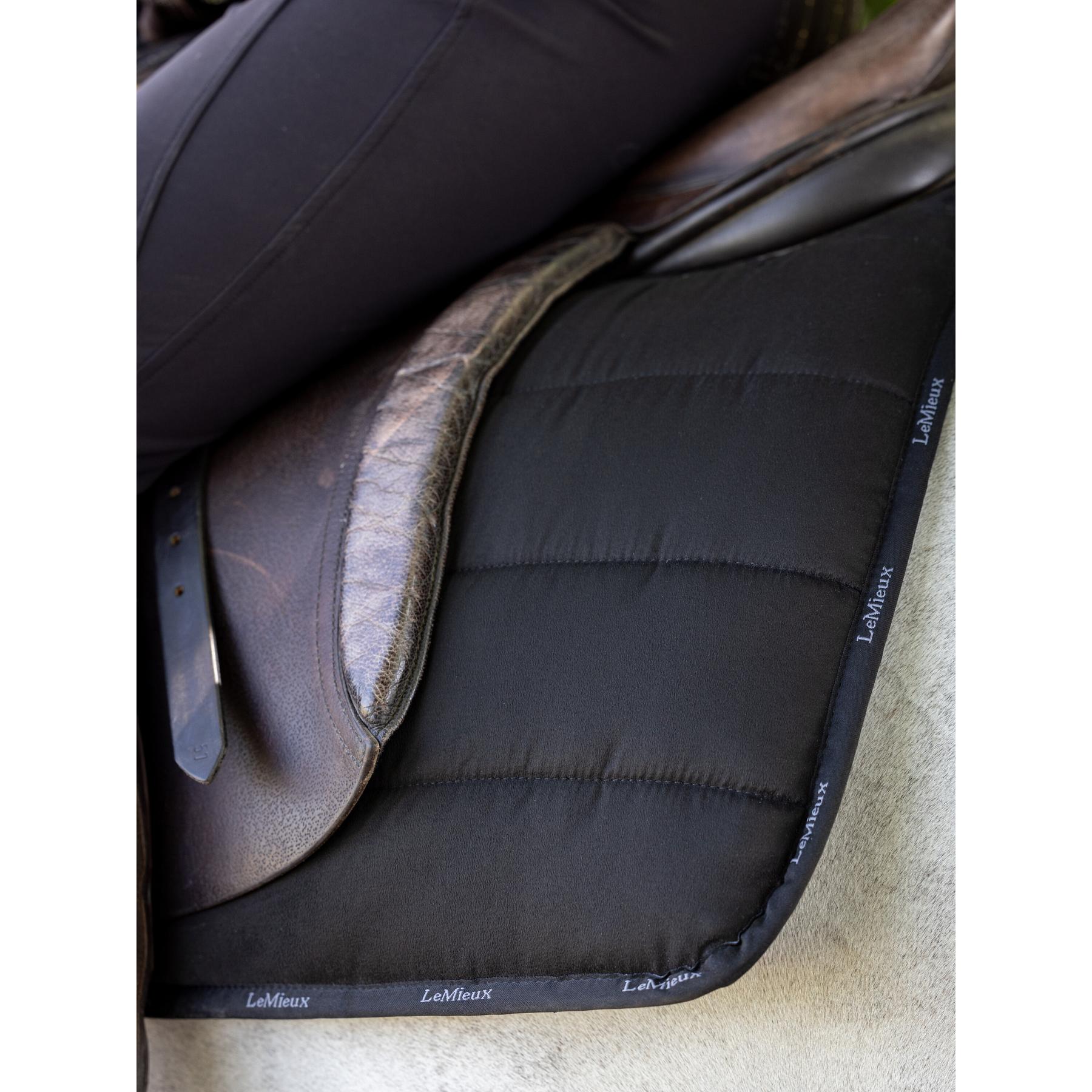 product/l/e/lemieux_it03846066_3.jpg