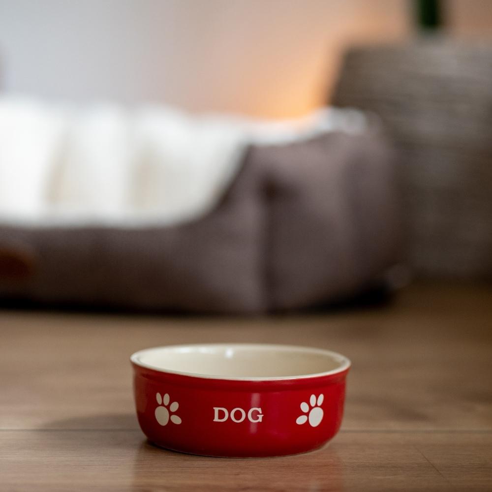 product/n/o/nobby-pet_68765_1.jpg