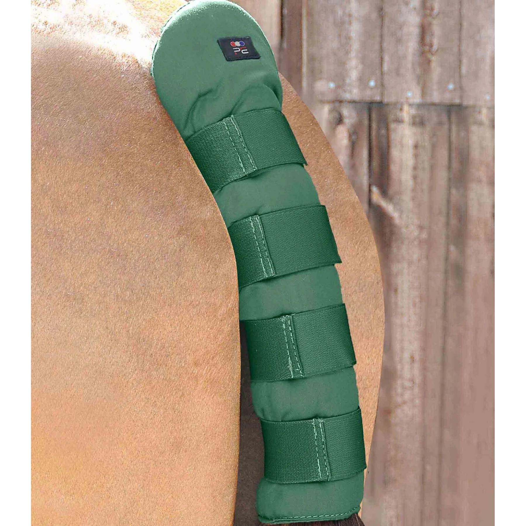 product/p/r/premier-equine_6012g_1.jpg