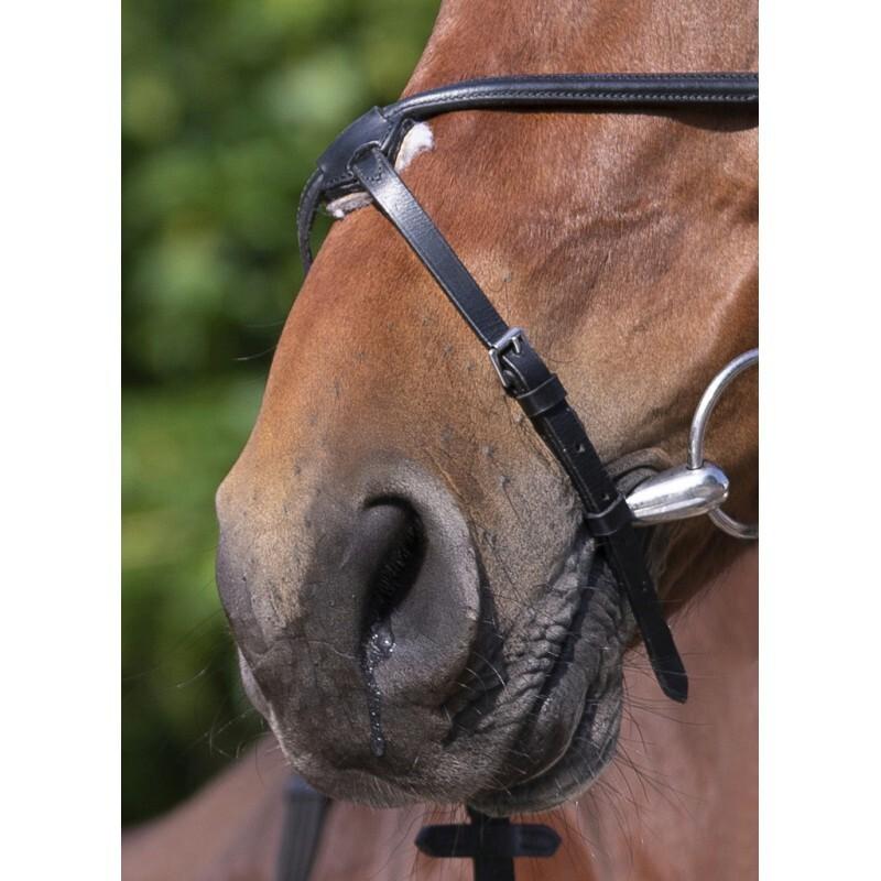 product/r/i/riding-world_301005102_3.jpg