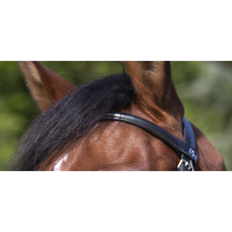 product/r/i/riding-world_301005102_5.jpg