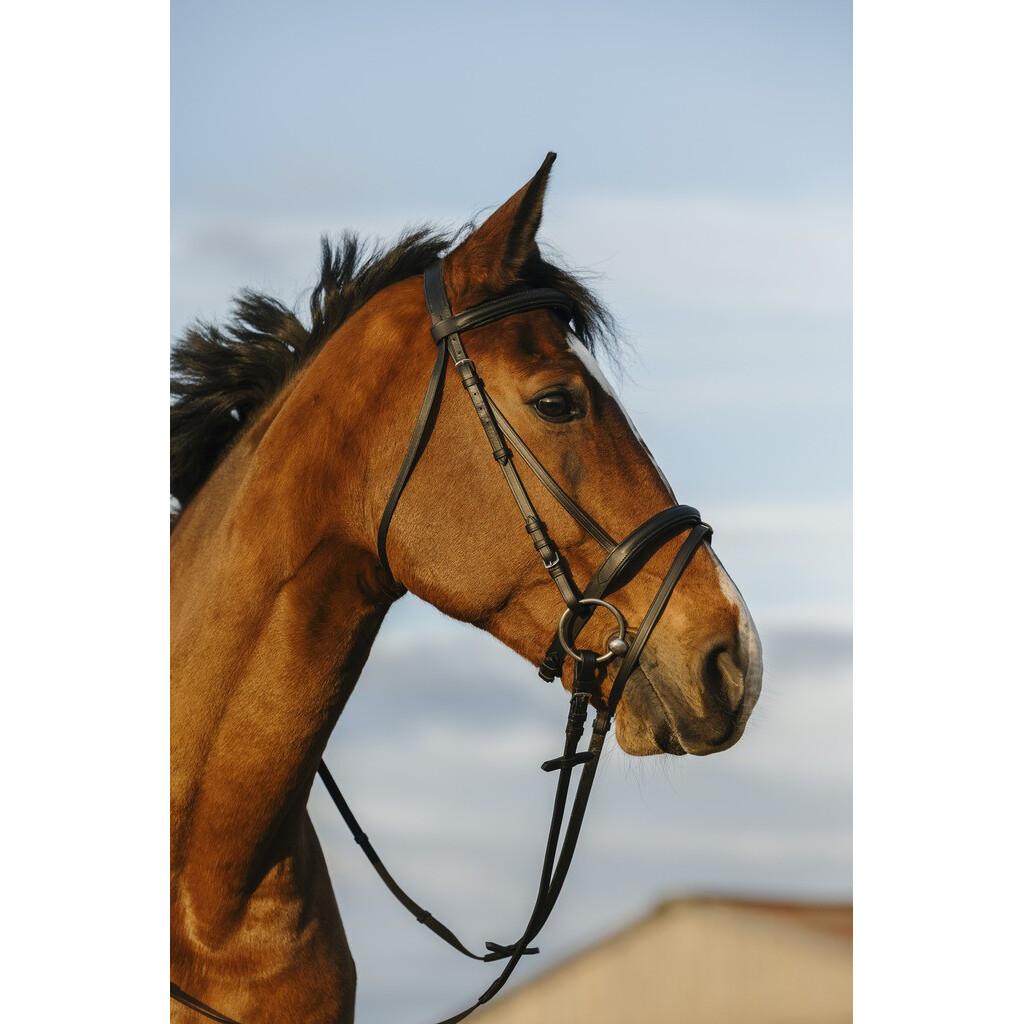product/r/i/riding-world_301009102_noir_1.jpg