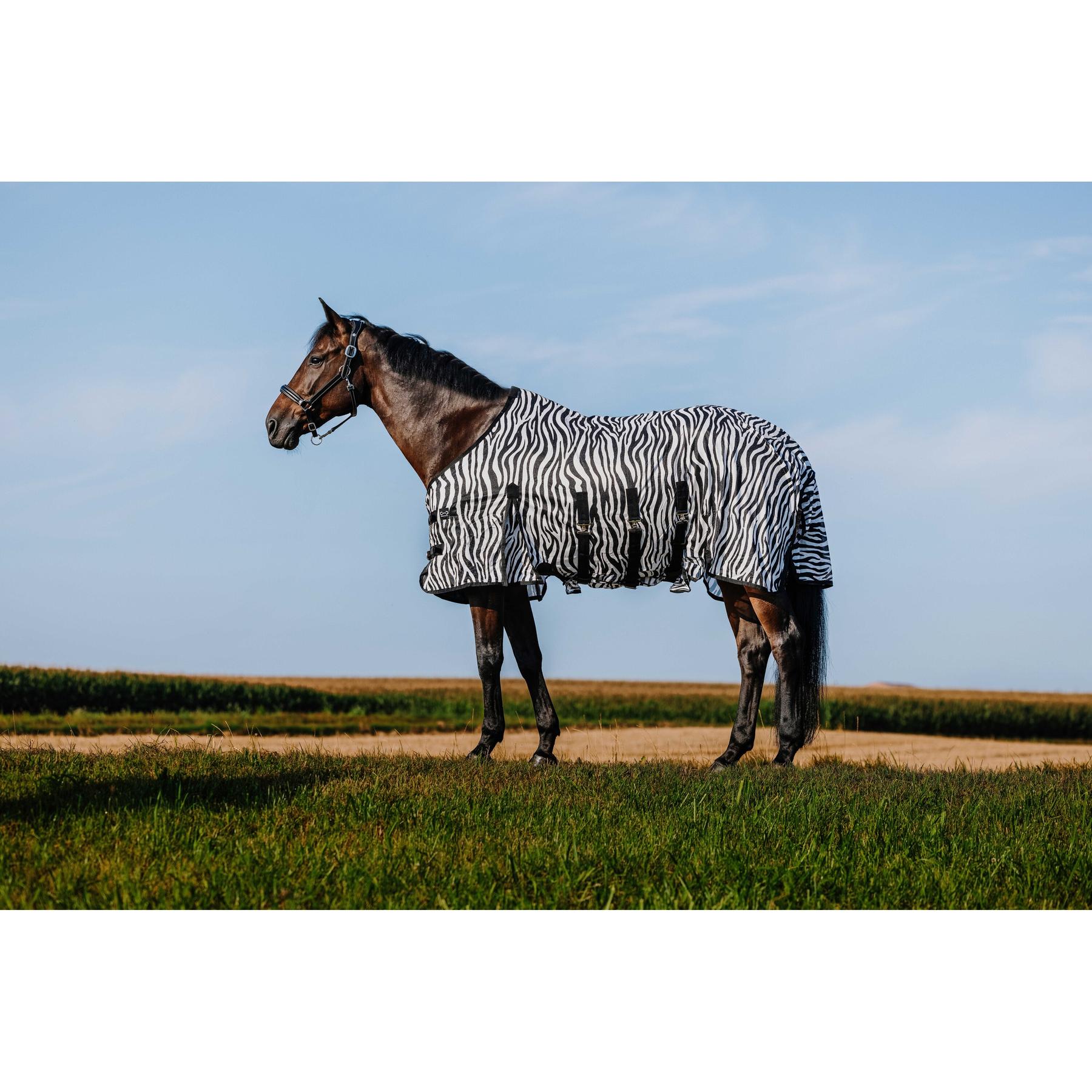 product/r/i/riding-world_400725056_zebre_1.jpg