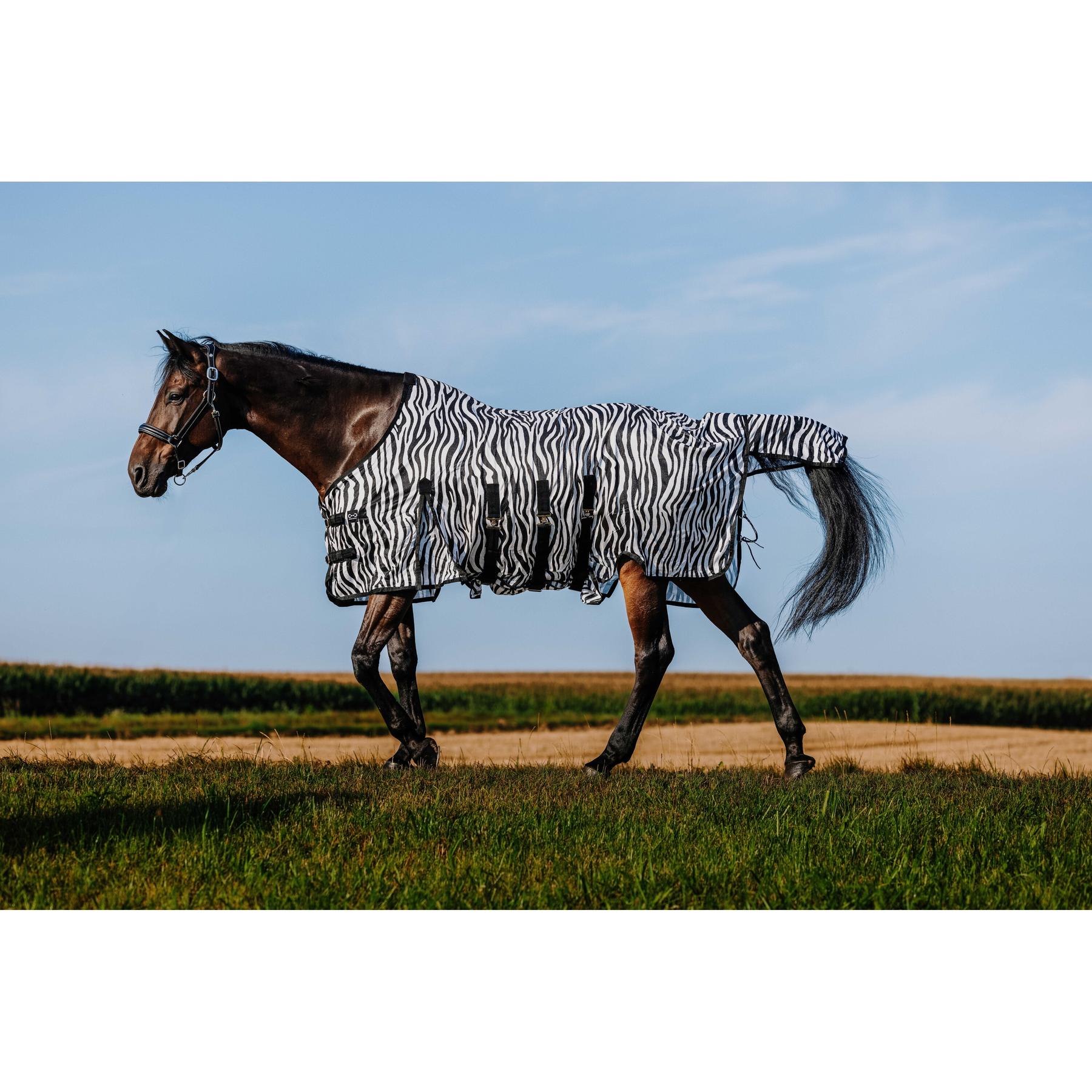 product/r/i/riding-world_400725056_zebre_2.jpg