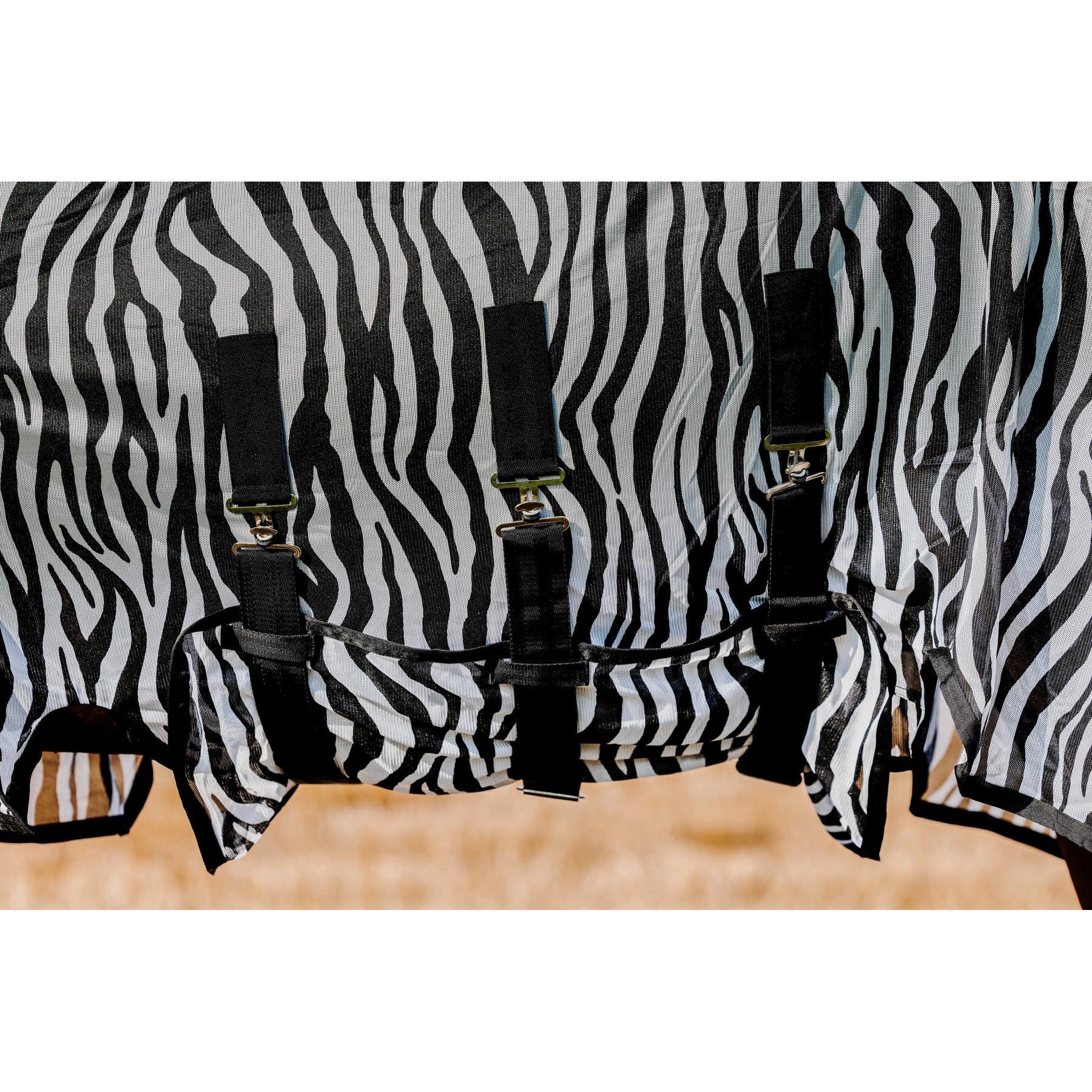 product/r/i/riding-world_400725056_zebre_6.jpg