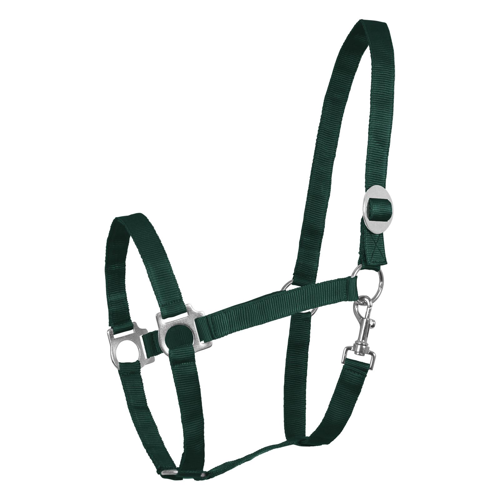 product/w/a/waldhausen_602064-sh_vert-sapin_1.jpg