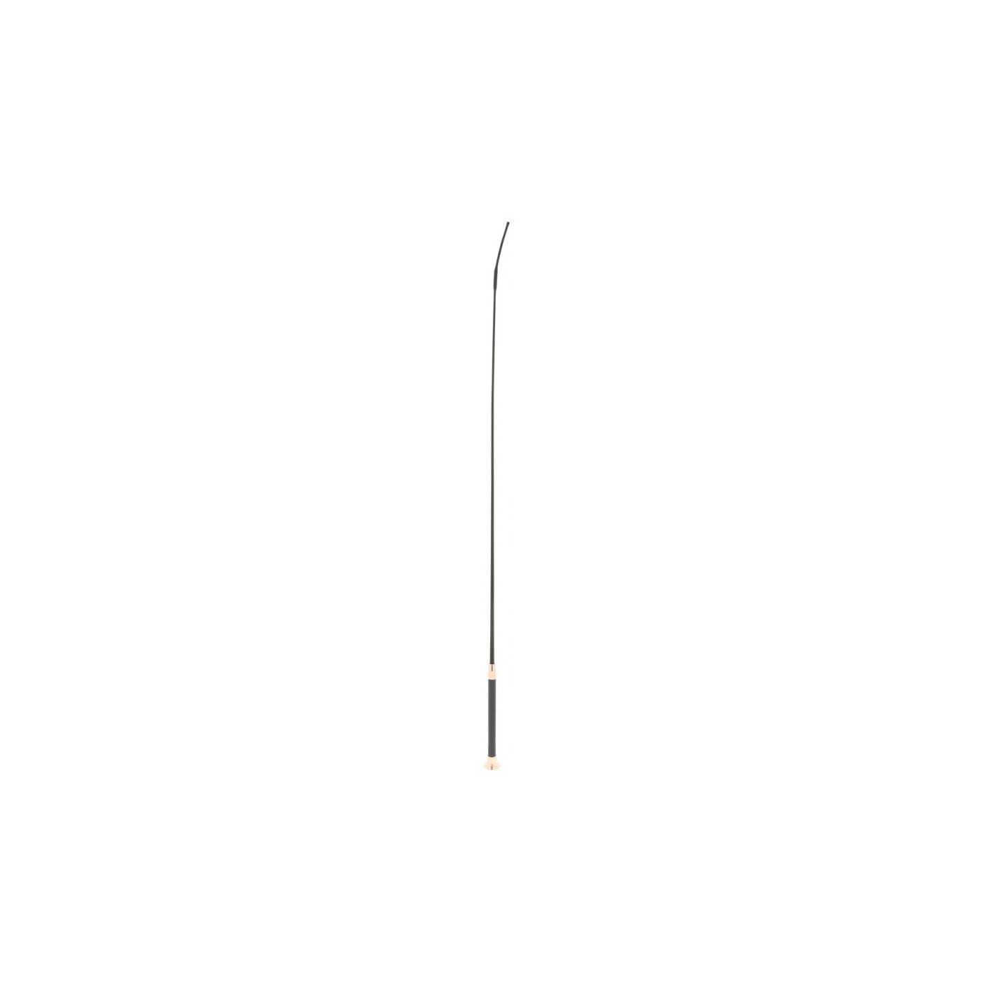 product/w/h/whip-go_952052502_noir-coloris-or-rose_1.jpg