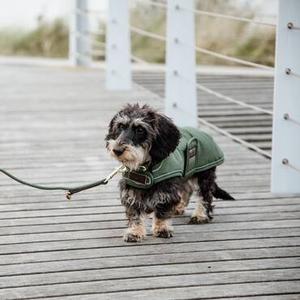 Dog Jackets