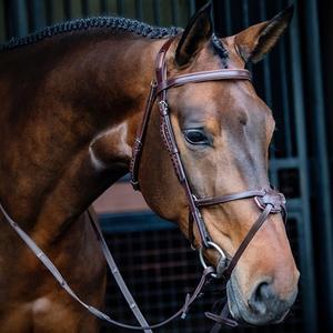 Leathers & Tack