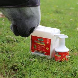 Insect Repellents