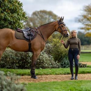 Horses at Work