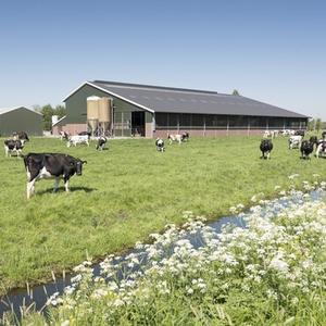 Farm