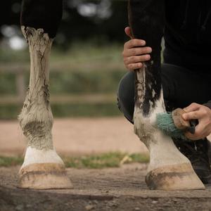 Limb care