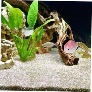 Aquarium Accessories