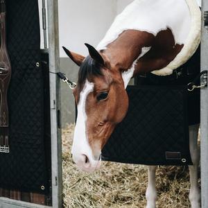 Stable