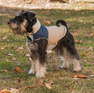 Harness