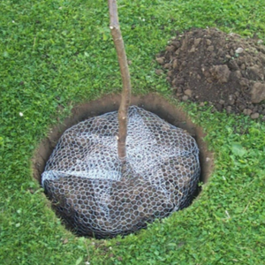 Gardening 