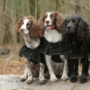 Jumpers